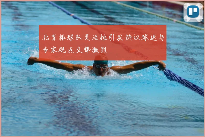 北京排球队灵活性引发热议球迷与专家观点交锋激烈