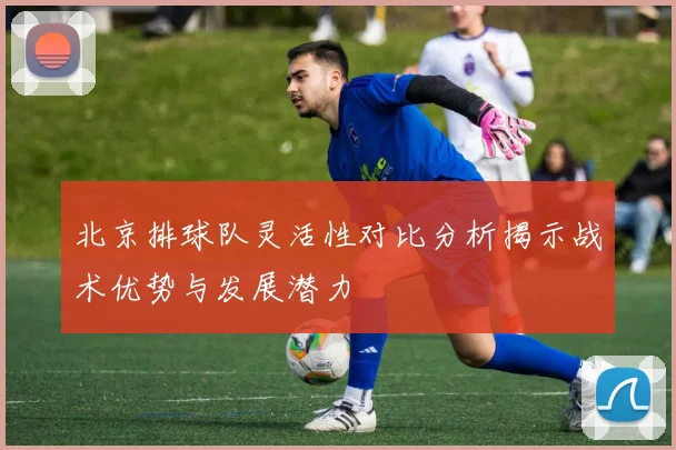 北京排球队灵活性对比分析揭示战术优势与发展潜力