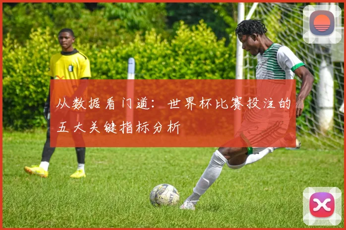 从数据看门道：世界杯比赛投注的五大关键指标分析