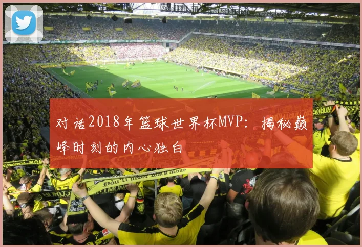 对话2018年篮球世界杯MVP：揭秘巅峰时刻的内心独白