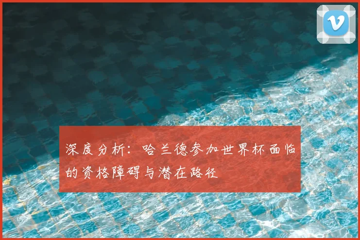 深度分析：哈兰德参加世界杯面临的资格障碍与潜在路径