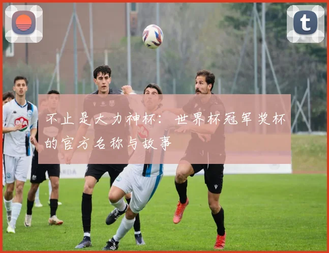 不止是大力神杯：世界杯冠军奖杯的官方名称与故事