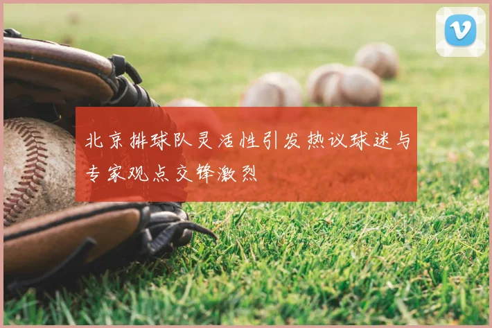 北京排球队灵活性引发热议球迷与专家观点交锋激烈