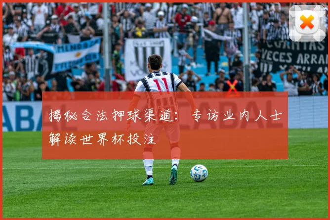 揭秘合法押球渠道：专访业内人士解读世界杯投注