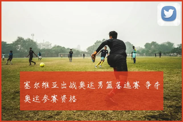 塞尔维亚出战奥运男篮落选赛 争夺奥运参赛资格