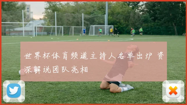 世界杯体育频道主持人名单出炉 资深解说团队亮相