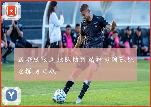 成都极限运动队协作精神与团队配合探讨之旅