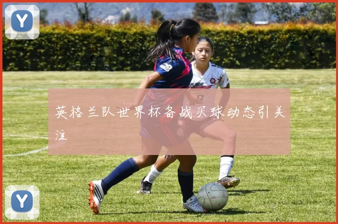 英格兰队世界杯备战买球动态引关注