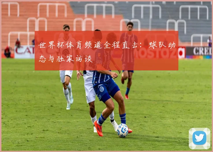 世界杯体育频道全程直击：球队动态与独家访谈