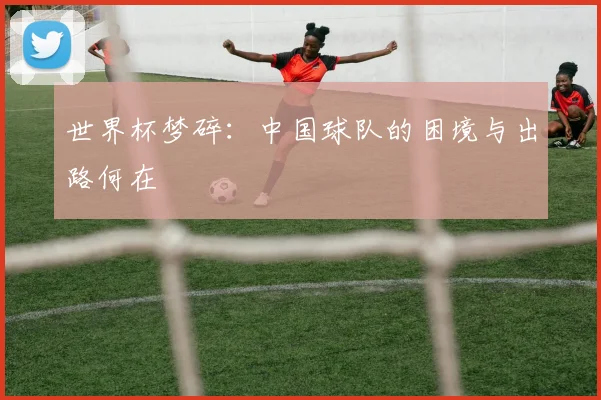 世界杯梦碎：中国球队的困境与出路何在
