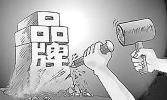 互联网时代品牌突围之道 福慧顺智慧解析网络文化经营下的品牌传播秘诀